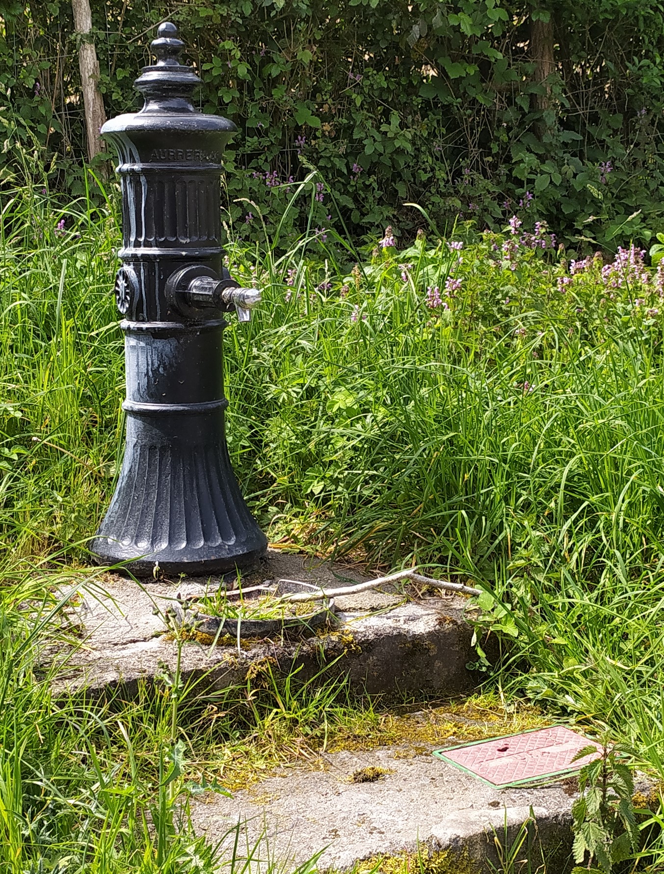 Arrasateko iturrien bila – Sasoibide