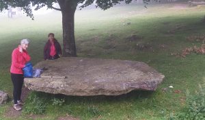 Uribarri Ganboa (busa pantanotik, erreserba 843740286) @ Bus geltokia, Zalduspe (ospitala)
