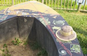 Salburua (zuzeneko busa, erreserba 843740286) @ Bus geltokia, Zalduspe (ospitala)
