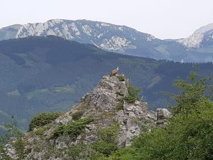 Salburua (zuzeneko busa, erreserba 843740286) @ Bus geltokia, Zalduspe (ospitala)