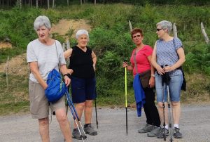 Salburua (zuzeneko busa, erreserba 843740286) @ Bus geltokia, Zalduspe (ospitala)