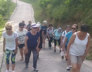 Salburua (zuzeneko busa, erreserba 843740286) @ Bus geltokia, Zalduspe (ospitala)