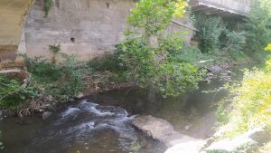 Salburua (zuzeneko busa, erreserba 843740286) @ Bus geltokia, Zalduspe (ospitala)