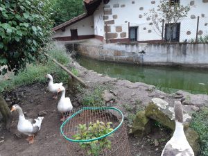 Meatzerreka, Etxaldebarri @ Biteri