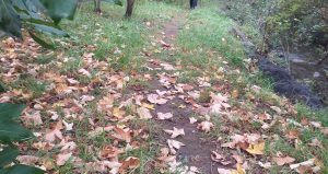 Irteera Berezia: ENKARTERRIA. 09:00, Bus erdigunea @ Bus geltokia, erdigunea