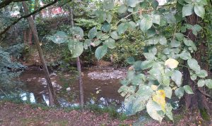Irteera Berezia: ENKARTERRIA. 09:00, Bus erdigunea @ Bus geltokia, erdigunea
