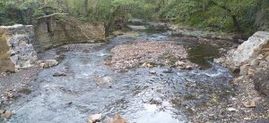 sasoibide+: Gasteiz. 15:00, Bus Zalduspe @ Bus geltokia, Zalduspe (ospitala)