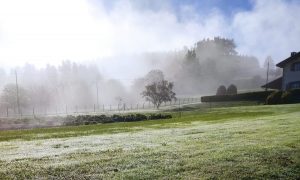 sasoibide+: Gasteiz. 15:00, Bus Zalduspe @ Bus geltokia, Zalduspe (ospitala)