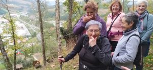 sasoibide+: Gatz Bidea (15:00) @ Bus geltokia, erdigunea
