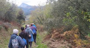 sasoibide+: Gatz Bidea (15:00) @ Bus geltokia, erdigunea