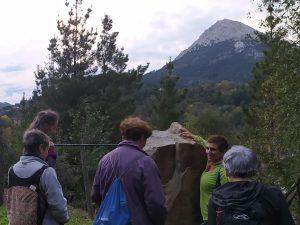 sasoibide+: Gatz Bidea (15:00) @ Bus geltokia, erdigunea