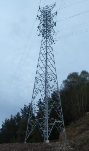 sasoibide+: Gatz Bidea (15:00) @ Bus geltokia, erdigunea
