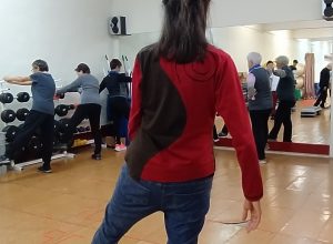 sasoibide+: Jarindo mendia (15:00) @ Bus geltokia, Zalduspe (ospitala)