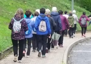 sasoibide+: Jarindo mendia (15:00) @ Bus geltokia, Zalduspe (ospitala)