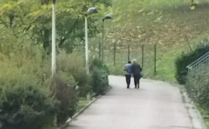 sasoibide+: Jarindo mendia (15:00) @ Bus geltokia, Zalduspe (ospitala)