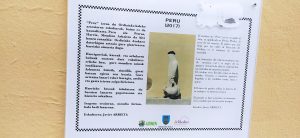sasoibide+: Jarindo mendia (15:00) @ Bus geltokia, Zalduspe (ospitala)