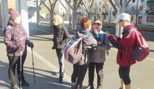 sasoibide+: Jarindo mendia (15:00) @ Bus geltokia, Zalduspe (ospitala)