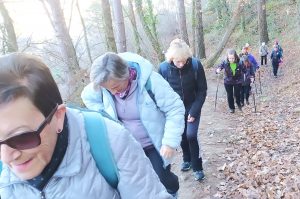 sasoibide+: Jarindo mendia (15:00) @ Bus geltokia, Zalduspe (ospitala)