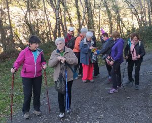 sasoibide+: Jarindo mendia (15:00) @ Bus geltokia, Zalduspe (ospitala)