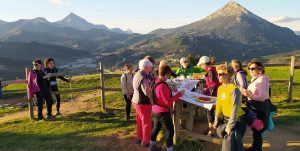 sasoibide+: Jarindo mendia (15:00) @ Bus geltokia, Zalduspe (ospitala)