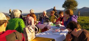 sasoibide+: Jarindo mendia (15:00) @ Bus geltokia, Zalduspe (ospitala)