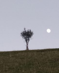 Zigarrolako behatokia @ Biteri