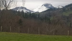 sasoibide+: Kurtzetxiki @ Biteri