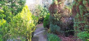 sasoibide+: Kurtzetxiki @ Biteri