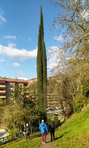 sasoibide+: Kurtzetxiki @ Biteri