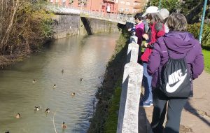 sasoibide+: Kurtzetxiki @ Biteri