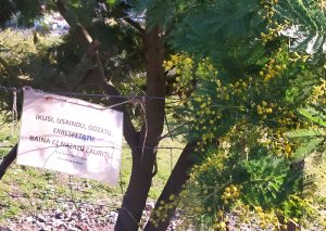 sasoibide+: Kurtzetxiki @ Biteri