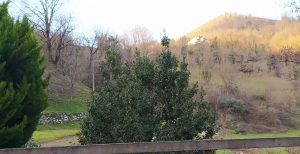 sasoibide+: Kurtzetxiki @ Biteri