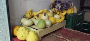 sasoibide+: Bus; Bainuetxe, Urkuluko bira, Bedoña @ Bus geltokia, erdigunea