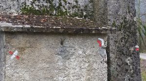 sasoibide+: Bus; Bainuetxe, Urkuluko bira, Bedoña @ Bus geltokia, erdigunea