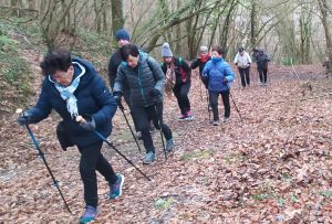 sasoibide+: Bus; Bainuetxe, Urkuluko bira, Bedoña @ Bus geltokia, erdigunea