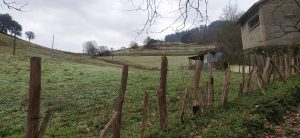 sasoibide+: Bus; Bainuetxe, Urkuluko bira, Bedoña @ Bus geltokia, erdigunea