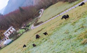 sasoibide+: Bus; Bainuetxe, Urkuluko bira, Bedoña @ Bus geltokia, erdigunea