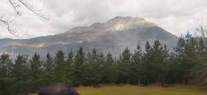 sasoibide+: Bus; Bainuetxe, Urkuluko bira, Bedoña @ Bus geltokia, erdigunea