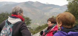 sasoibide+: Bus; Bainuetxe, Urkuluko bira, Bedoña @ Bus geltokia, erdigunea