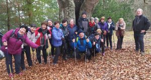 sasoibide+: Bus; Bainuetxe, Urkuluko bira, Bedoña @ Bus geltokia, erdigunea