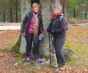 sasoibide+: Bus; Bainuetxe, Urkuluko bira, Bedoña @ Bus geltokia, erdigunea
