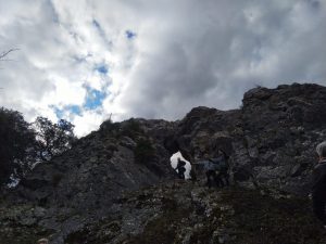 sasoibide+: Bus; Bainuetxe, Urkuluko bira, Bedoña @ Bus geltokia, erdigunea