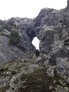 sasoibide+: Bus; Bainuetxe, Urkuluko bira, Bedoña @ Bus geltokia, erdigunea
