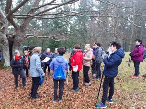 sasoibide+: Bus; Bainuetxe, Urkuluko bira, Bedoña @ Bus geltokia, erdigunea