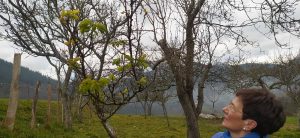 sasoibide+: Bus; Bainuetxe, Urkuluko bira, Bedoña @ Bus geltokia, erdigunea