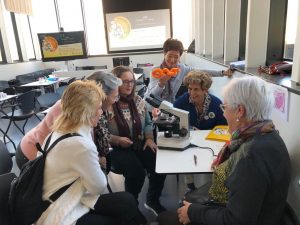 sasoibide+: Bus; Bainuetxe, Urkuluko bira, Bedoña @ Bus geltokia, erdigunea