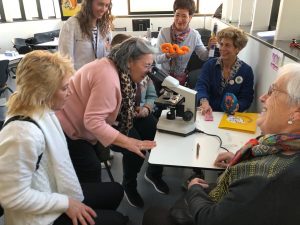 sasoibide+: Bus; Bainuetxe, Urkuluko bira, Bedoña @ Bus geltokia, erdigunea