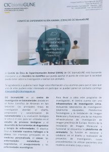 sasoibide+: Bus; Bainuetxe, Urkuluko bira, Bedoña @ Bus geltokia, erdigunea