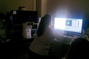 sasoibide+: Bus; Bainuetxe, Urkuluko bira, Bedoña @ Bus geltokia, erdigunea