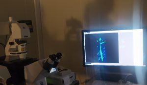 sasoibide+: Bus; Bainuetxe, Urkuluko bira, Bedoña @ Bus geltokia, erdigunea